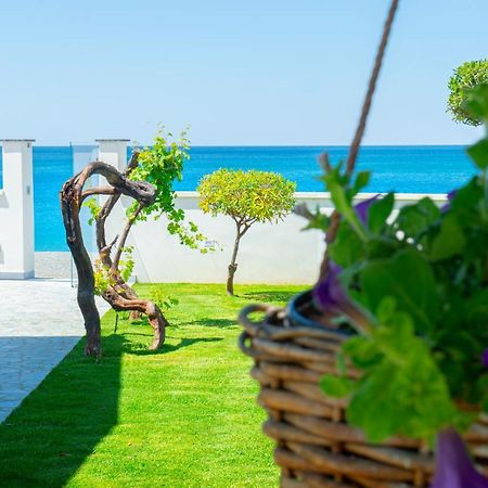 Mbaccimari B&B 切特拉罗 外观 照片
